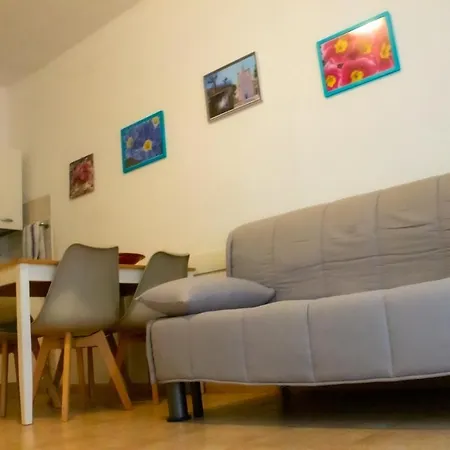 La Primula Sanremese Sanremo