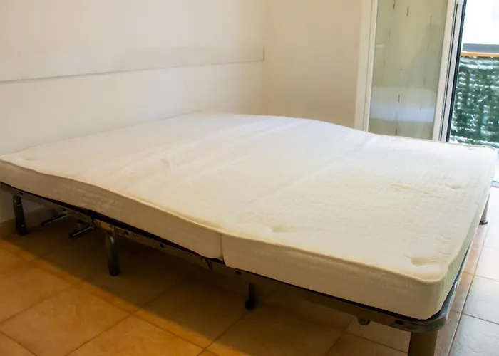 La Primula Sanremese *